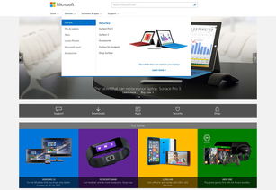 新聞 網博思創 北京網站設計